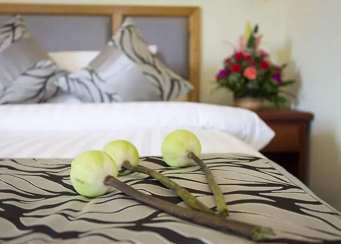 Hotel Grand Bayon 4*